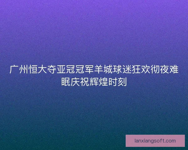 广州恒大夺亚冠冠军羊城球迷狂欢彻夜难眠庆祝辉煌时刻